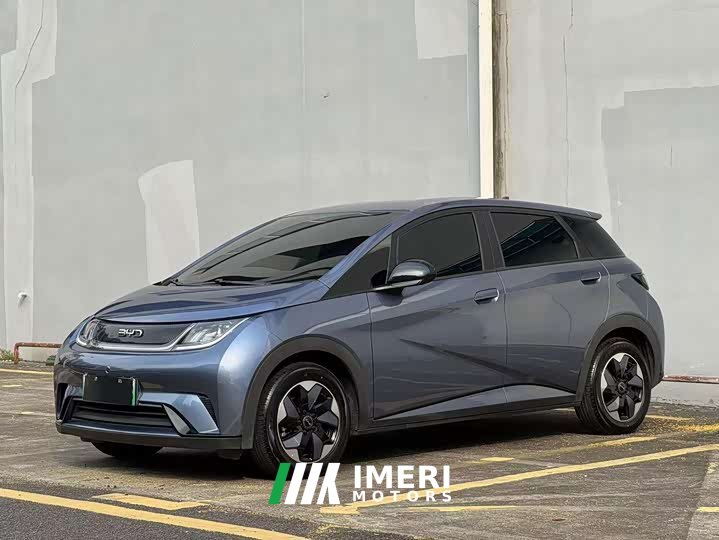 BYD Dolphin 420km Freedom Edition