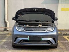 BYD Dolphin 420km Freedom Edition - ფოტო 11