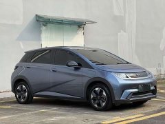 BYD Dolphin 420km Freedom Edition - ფოტო 3