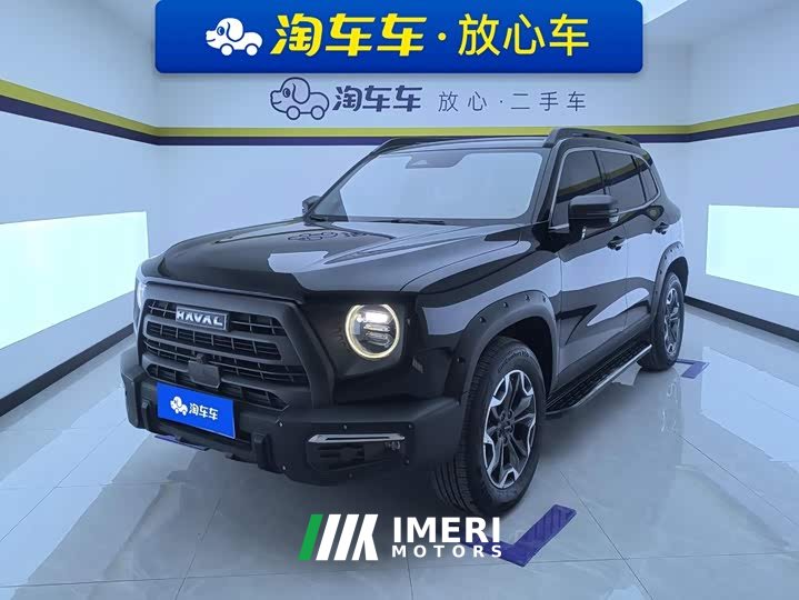 Great Wall Dachshund 2024 2.0T DCT Chinese Rural Dog Edition - ავტომობილი ჩინეთიდან
