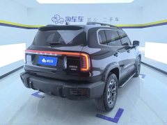 Great Wall Dachshund 2024 2.0T DCT Chinese Rural Dog Edition - ფოტო 3