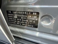 Tank 300 2.0T Conqueror - ფოტო 18