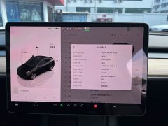 Tesla Model Y Rear-Wheel Drive - ფოტო 5