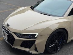 Audi R8 V10 Coupe Performance - ფოტო 12