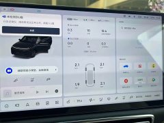 Li Auto L9 2023 Pro - ფოტო 15