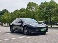 Tesla Model 3 Rear-Wheel Drive - ფოტო 2