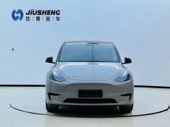 Tesla Model Y 2023 Rear-Wheel Drive - ფოტო 2