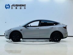 Tesla Model Y 2023 Rear-Wheel Drive - ფოტო 3
