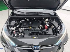Toyota Wildland Vland 2.0L CVT FWD Luxury Plus - photo 10