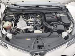 Toyota Corolla 1.2T S-CVT Elite Plus - ფოტო 10