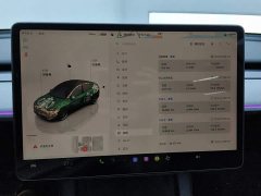 Tesla Model Y 2024 Rear-Wheel Drive - ფოტო 14