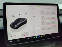Tesla Model Y Rear-Wheel Drive - ფოტო 14