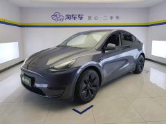 Tesla Model Y Rear-Wheel Drive - ფოტო 1