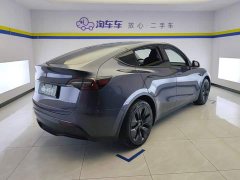 Tesla Model Y Rear-Wheel Drive - ფოტო 3