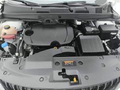 Geely Bingyue 1.5T DCT Diamond Edition - ფოტო 10