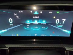Chery Tiggo 7 PLUS 1.6T GDI DCT Premium - ფოტო 14