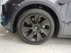 Tesla Model Y Rear-Wheel Drive - ფოტო 6
