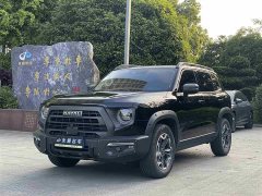 Great Wall Dachshund 2.0T DCT Chinese Rural Dog Edition - ფოტო 1