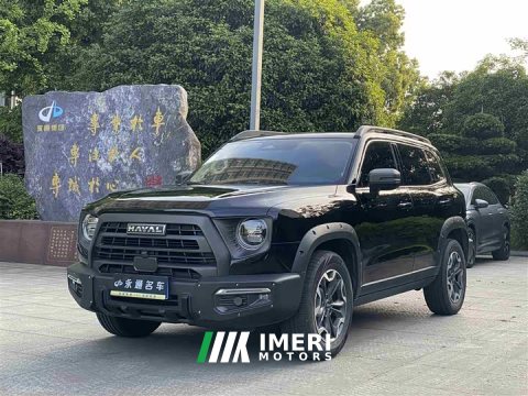 2024 Great Wall Dachshund 2.0T DCT Chinese Rural Dog Edition - ავტომობილი ჩინეთიდან