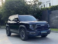 Great Wall Dachshund 2.0T DCT Chinese Rural Dog Edition - ფოტო 3