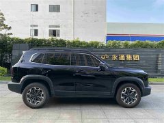 Great Wall Dachshund 2.0T DCT Chinese Rural Dog Edition - ფოტო 4