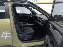 Geely Cowboy 2025 1.5TD Fun Wilderness Edition - ფოტო 8