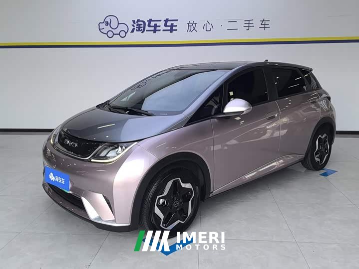 BYD Dolphin 405km Fashion Edition - ავტომობილი ჩინეთიდან