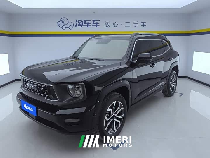 Haval Big Dog PLUS 2023 1.5T Two-Wheel Drive Trendy Wilderness Edition Plus - ავტომობილი ჩინეთიდან
