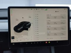 Tesla Model Y Rear-Wheel Drive - ფოტო 14