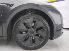 Tesla Model Y Rear-Wheel Drive - ფოტო 6