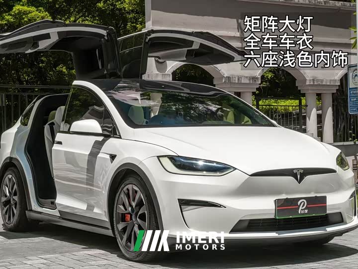 Tesla Model X Dual Motor All-Wheel Drive - ავტომობილი ჩინეთიდან