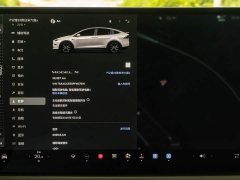 Tesla Model X Dual Motor All-Wheel Drive - ფოტო 13