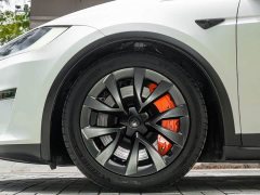 Tesla Model X Dual Motor All-Wheel Drive - ფოტო 19