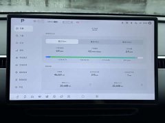 Xpeng Xiaopeng MONA M03 620 Extended Range - ფოტო 16