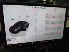 Tesla Model Y Rear-Wheel Drive - ფოტო 11