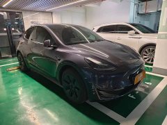 Tesla Model Y Rear-Wheel Drive - ფოტო 3
