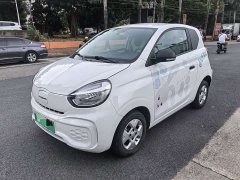 BYD Clever 311km Vitality Pop Edition - ფოტო 1