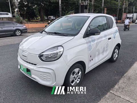 2022 BYD Clever 311km Vitality Pop Edition - ავტომობილი ჩინეთიდან