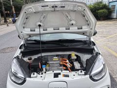 BYD Clever 311km Vitality Pop Edition - ფოტო 19