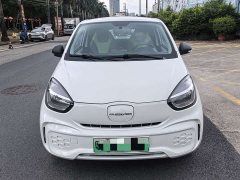 BYD Clever 311km Vitality Pop Edition - ფოტო 2