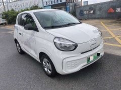 BYD Clever 311km Vitality Pop Edition - ფოტო 3