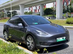 Tesla Model Y 2022 Rear-Wheel Drive - ფოტო 2