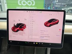 Tesla Model 3 2022 Rear-Wheel Drive - ფოტო 10