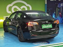 Tesla Model 3 2022 Rear-Wheel Drive - ფოტო 10