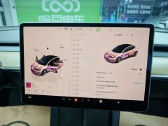 Tesla Model 3 2022 Rear-Wheel Drive - ფოტო 10