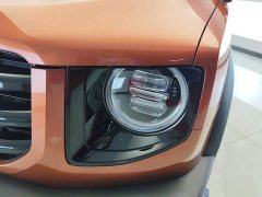 Great Wall Dachshund 1.5T DCT Two-Wheel Drive Malinois-Wangcai Edition - ფოტო 5