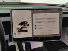 Tesla Model 3 2023 Rear-Wheel Drive - ფოტო 14