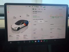 Tesla Model 3 2022 Rear-Wheel Drive - ფოტო 14