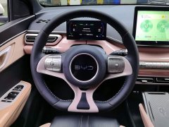 BYD Seagull 2025 405km Flying Edition - ფოტო 15