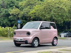 Geely Panda Mini 200km Endurance Edition - ფოტო 1